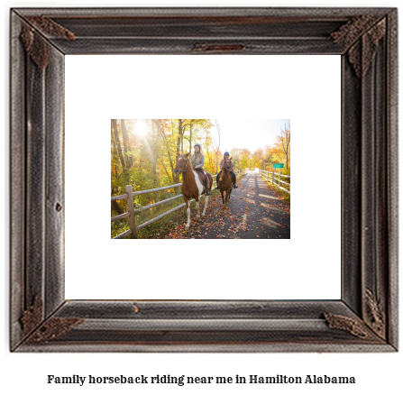 family horseback riding near me in Hamilton, Alabama